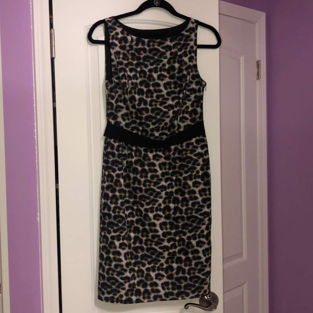 Ann Taylor dress